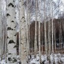 인제02-2 이미지