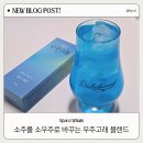 AstroWhale 이미지