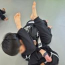 SSMA 상승합기도 특공무술 이미지