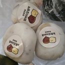 꼴떡꼴떡 | 퓨전떡 골라담기 택배떡 맛집 "정애맛담" | 밤버떡, 말차앙버떡, 콘치즈설기, 약과설기 후기