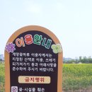 仁川廣域市桂陽區.계양꽃마루 노란色유채꽃밭風景 이미지