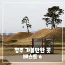 아이에이치엔터테인먼트 | 청주 가볼만한곳 베스트 6 - 사진 찍기 좋은 인생샷 핫플 총정리