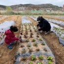 중구다문화가족지원센터 이미지