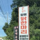 원조닭날개 | 파주 광탄 서원힐스cc 주변 맛집! 원조할매닭한마리 후기 (내돈내산)