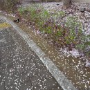 메이비부띠끄 - 전주시 완산구 전주객사2길 74-11 | 강남뷰티 : 완전 마음에 쏙드는 속눈썹펌 뷰티샵 온더부티크