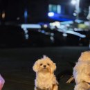 오도1리 | 포항 오도해수욕장 오도1리 해수욕장 방파제 다녀온후기