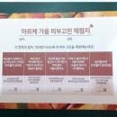 보니르에스테틱