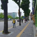 대학약국 이미지