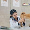 조양래 동물의료센터 이미지