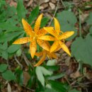 양재역 7번출구 옆 이미지