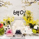 셀프백일상대여 내돈내산 후기