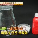 법의천 이미지