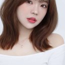 디어젤리 이미지