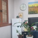 삼원공장부동산공인중개사사무소 | 양산공장임대부동산 양산 부동산 고민 해결, 직접 경험한 보금자리부동산공인중개사사무소의 신뢰와 꼼꼼함