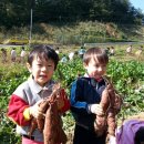 묵향유치원 이미지