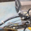 경기조명