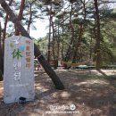 마운틴밸리휴펜션1 이미지