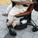 호랭이카 | 요즘 대세 트라이크 에이블유모카플러스 휴대용유모차 내돈내산 구매후기