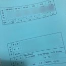 사대 | [교원자격증] 비사대 교직이수 교생실습 후기 / 수업파일 공유(정치외교학과 일반사회)