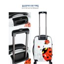 세이프투어 이미지