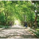 청사1길 이미지