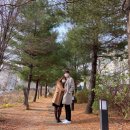 마레1992파티하우스 | [파주] 스몰웨딩&amp;야외결혼식 하객후기 &lt;마레1992 파티하우스&amp;케이터링&gt;