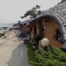라이브짚시 Daum카페