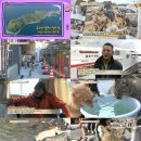 김명석농장 TV리포트