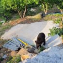 신황마을 이미지