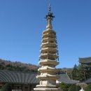 월정사 Daum카페