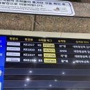 또올래분식 | 왓츠인마이블로그 라는 걸 또 하네요? _제주도 여행기