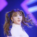 후레쉬월드 이미지