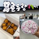 호두랑구슬이랑