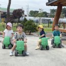 별별채소 이미지