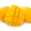 리드전자 이미지