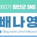 한별 도그파크 이미지