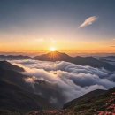 세상살이 이미지