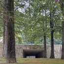 호암 예술관 | 용인 호암미술관 신상 카페 ‘호암카페’ 탐방기｜루이스 부르주아 전시와 예술 속 티타임