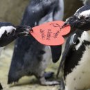 (주)아프리카박물관 이미지