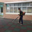 금릉초교 병설유치원 이미지