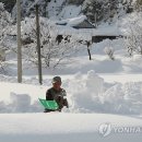 상시동2리 이미지