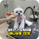 애니살롱 1호점 이미지