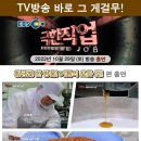 여주게걸무씨앗농장 이미지