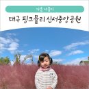 대구 핑크뮬리 명소 대구혁신도시 신서중앙공원