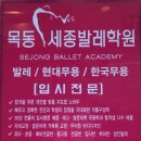 목동세종발레학원 네이버블로그