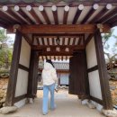 영상테마파크&amp;청와대세트장 | 합천가볼만한곳 합천영상테마파크 모노레일 타고 청와대 세트장까지 다녀온 후기