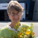 pet 25나3378 이미지