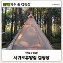 서귀포자연휴양림2 | 제주도 서귀포자연휴양림 캠핑 위치, 입장료, 준비물,데크 명당자리, 예약방법, 한라산캠핑 추천