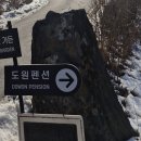 정선 도원펜션&캠핑장 이미지