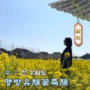 삼척시 평생학습관 주차타워 | 삼척 맹방유채꽃축제 2026 기본정보 주차 후기